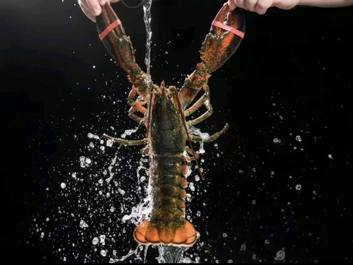 东莞海鲜